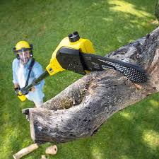 Best Lawn Maintenance Plans  in Avenel, NJ